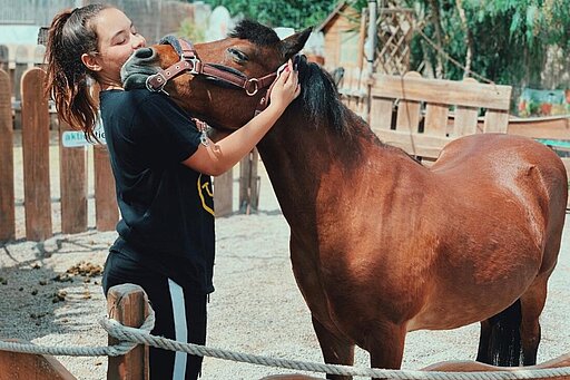 Pony Douglas und Greta