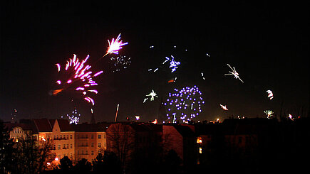 Silvesterknallerei ist für viele Haustiere ein Greul. Silvesterknallerei ist für viele Haustiere ein Greul.