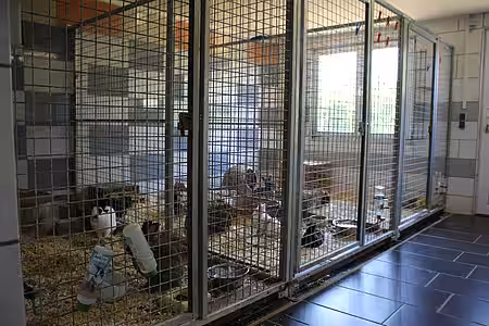 Kaninchenausläufe im aktion tier Tierheim Meißen Winkwitz