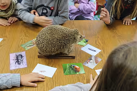 Kinder beim Tierschutzunterricht
