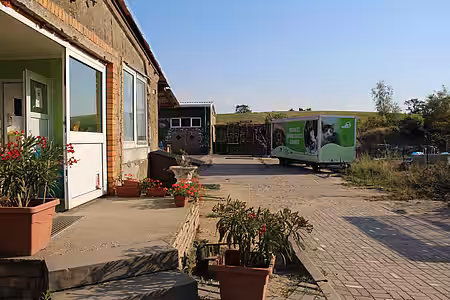 Blick übers Tierheimgelände