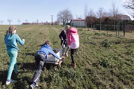 Vom Feld wurden viele Wackersteine per Hand gesammelt.