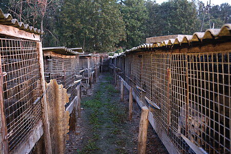 Fuchsfarm