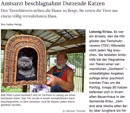 Sächsische Zeitung | 11. August 2017 | "Amtsarzt beschlagnahmt Dutzende Katzen" 