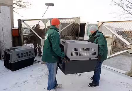 Abtransport der Kasernenhunde 2010. Foto: © aktion tier e.V.