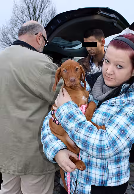 aktion tier Mitarbeiter mit Welpen. 