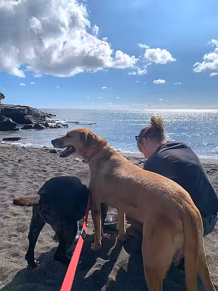 Schülerinnen mit Hunden an Strand Schülerinnen mit Hunden an Strand