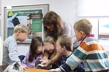 Tierschutzunterricht rund um den Igel