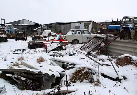 Niemand hätte hier Tiere vermutet...