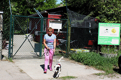 Tierheimhund Anton freut sich auf die Gassirunde mit Bärbel. 