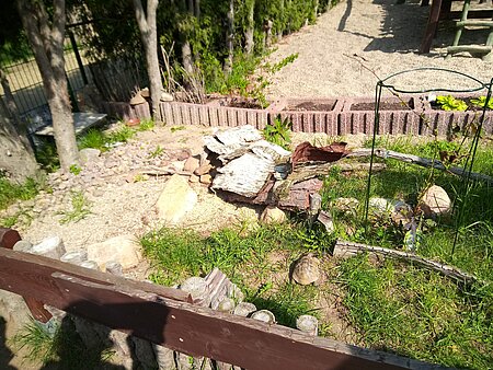 Das neue Schildkrötengehege