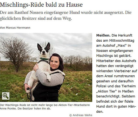 Sächsische Zeitung | 05. März 2016 | "Mischlings-Rüde bald zu Hause"