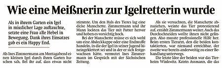 15. September 2023 | Sächsische Zeitung | "Wie eine Meißnerin zur Igelretterin wurde"