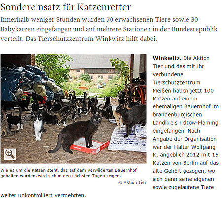 SZ | 20. August 2017 | "Sondereinsatz für Katzenretter"