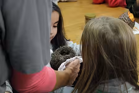 Tierschutzunterricht Igel
