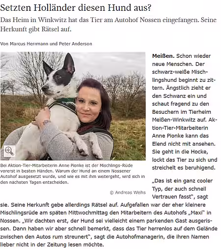 Sächsische Zeitung | 04. März 2016 | "Setzten Holländer diesen Hund aus?"