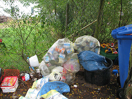 Animal Hoarding Fall Hohengörsdorf